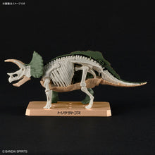 Load image into Gallery viewer, Plannosaurus Triceratops Model