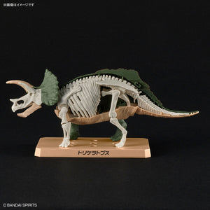 Plannosaurus Triceratops Model