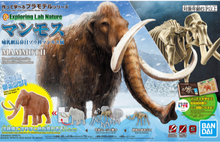 Load image into Gallery viewer, Exploring Lab Nature Mammoth
